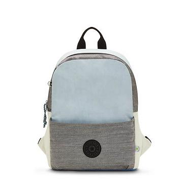 Kipling Sonnie 15" Backpack Laptop Bags True Blue Bold Block | CA 1672HA